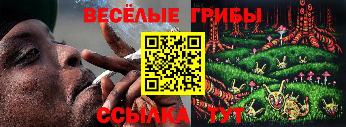 Псилоцибиновые грибы MAGIC MUSHROOMS  Вход с VPN  Советск  Псилоцибиновые грибы прущие грибы 